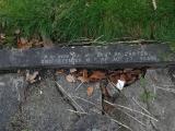 image of grave number 232061
